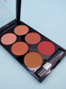 Make-up Multi-color Blush Makeup